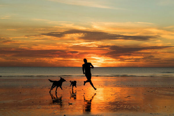 5 Things to Consider Before Taking Your Dog to the Beach