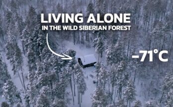 Living Alone in the Wild Siberian Forest for 20 years (-71°C, -96°F)